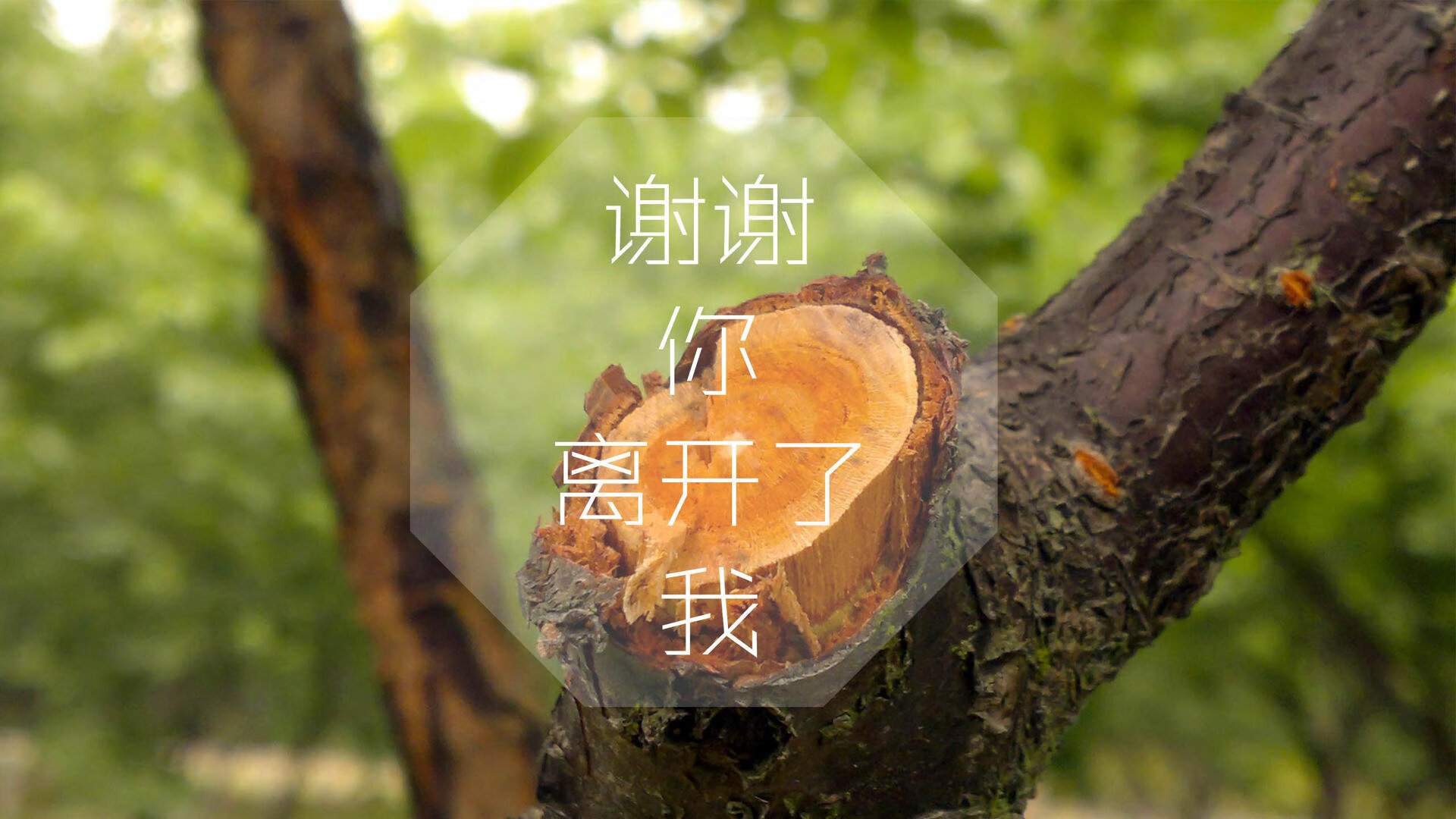 _关于运动伤病的预防与恢复策略_，运动损伤的预防治疗与恢复