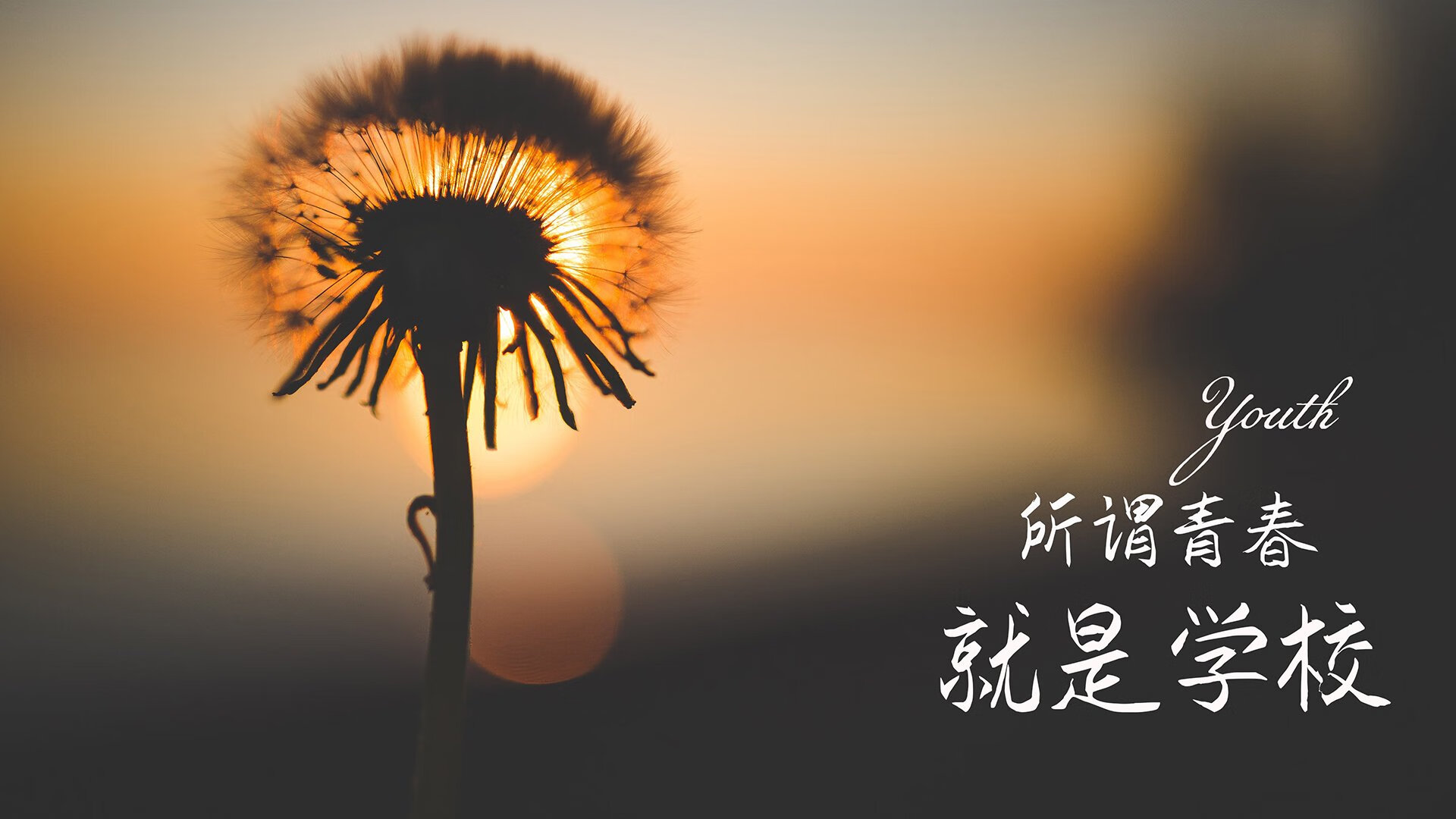《马尼拉公报》记者雷伊报道杭州亚运会开幕式，称其为“视觉杰作”，并赞扬亚运村的设施和志愿者服务。