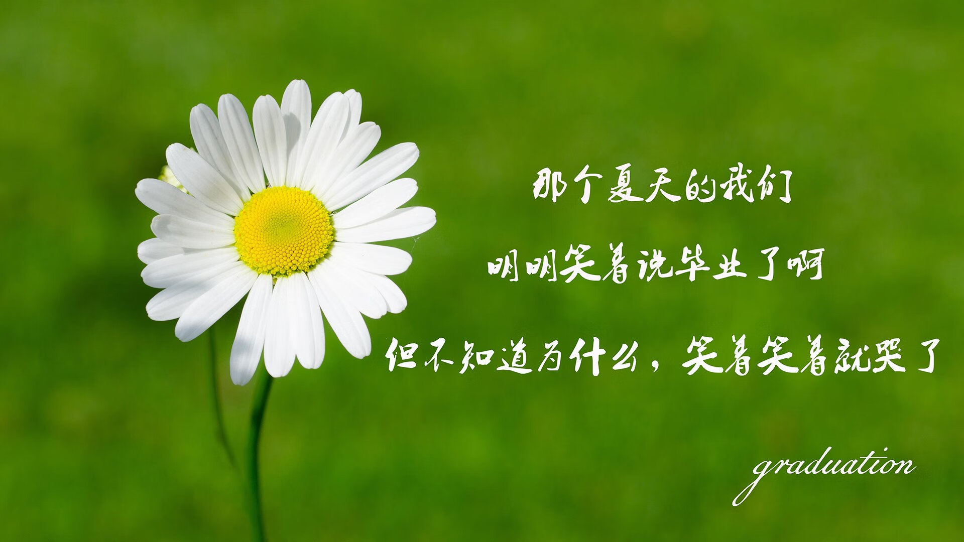 炉石传说 赛事参与度持续增长，炉石比赛时间