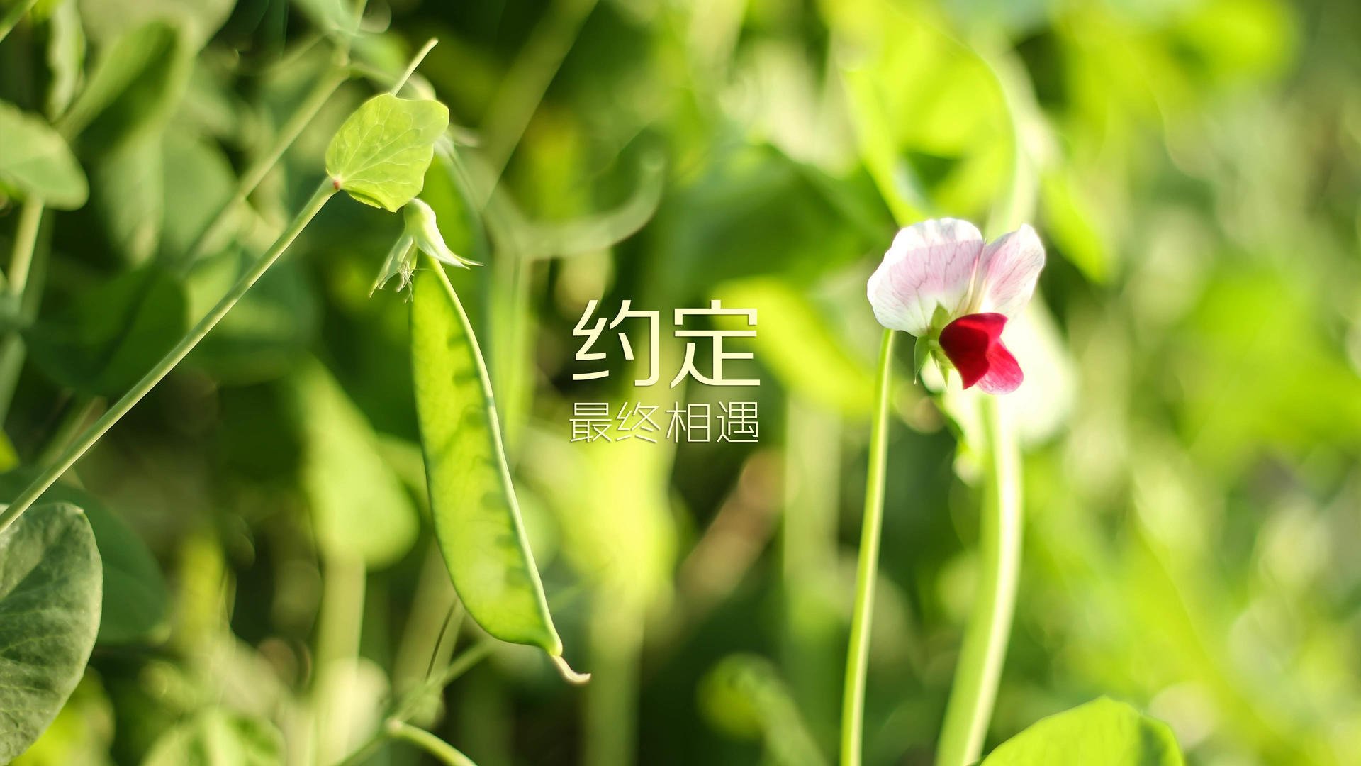 开云官方-英超赛季不断升级，竞争越来越激烈，英超赛季不断升级,竞争越来越激烈了