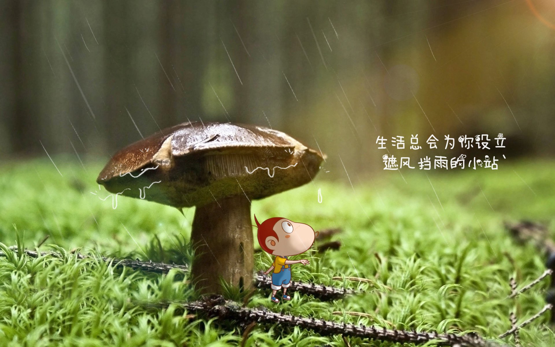 巴西男足主帅：未能晋级是“巨大的失望”