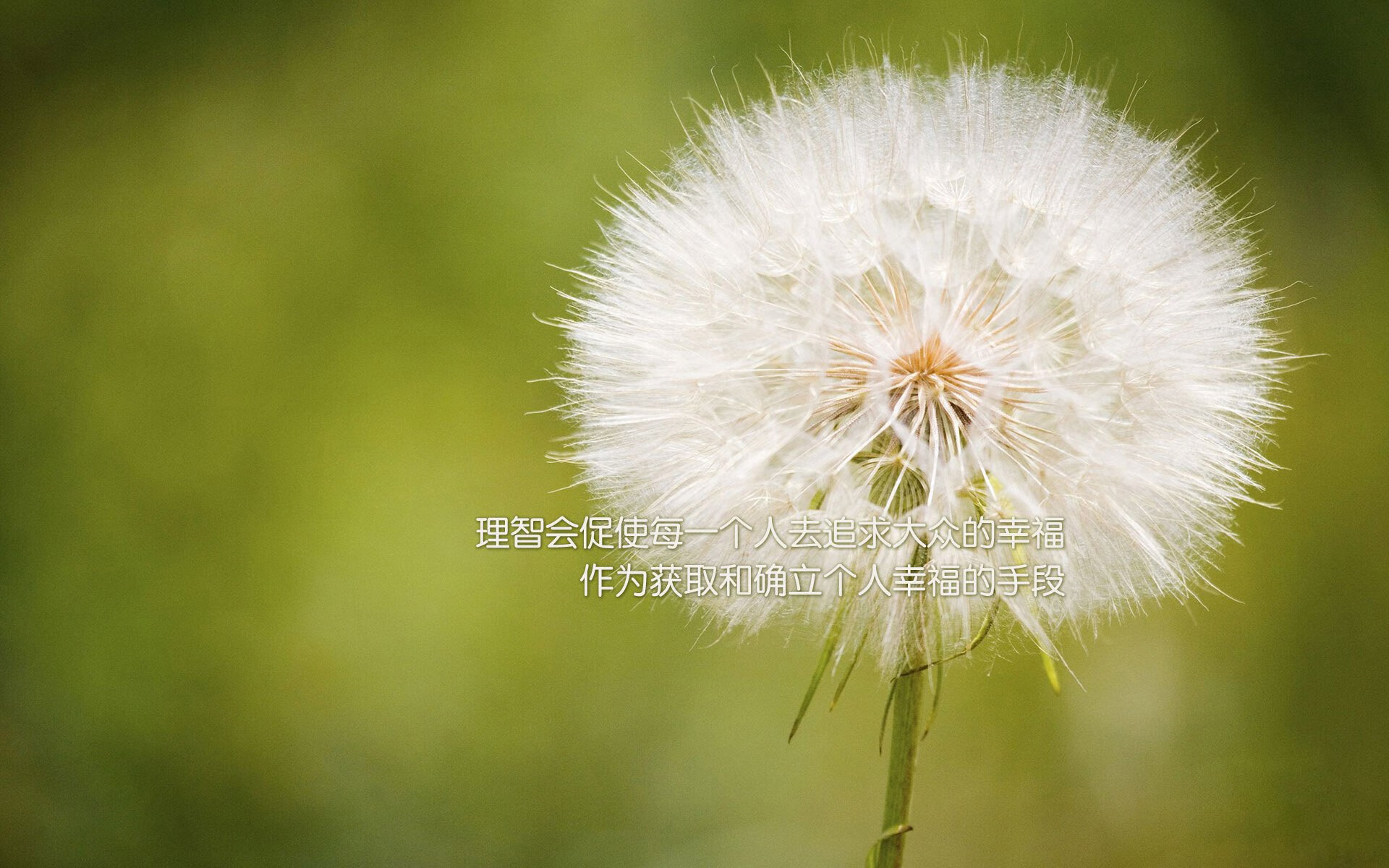 某队在大赛中披荆斩棘，最终夺得荣耀，某队比赛结束后,队员两两拥抱庆祝胜利,共拥抱55次