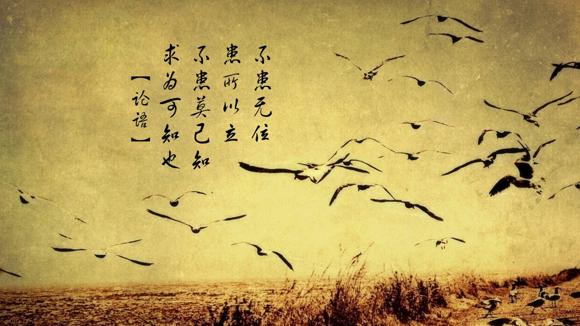 体育赛事运营数据分析方法与智能决策支持系统开发，体育赛事运营前景