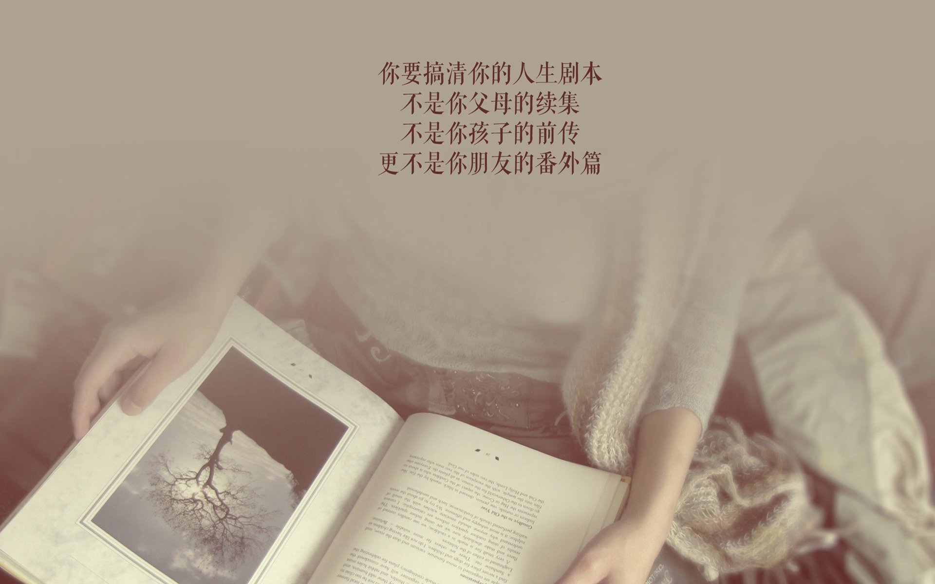 体育赛事组织中的风险管理策略研究，体育赛事的风险性特征
