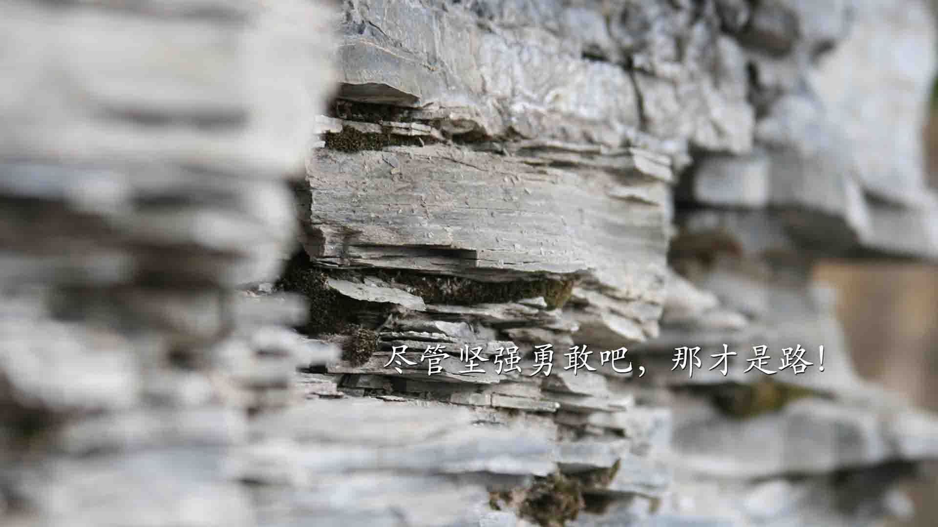 体育文化研究论文集出版引发业内讨论，体育文化导刊2021