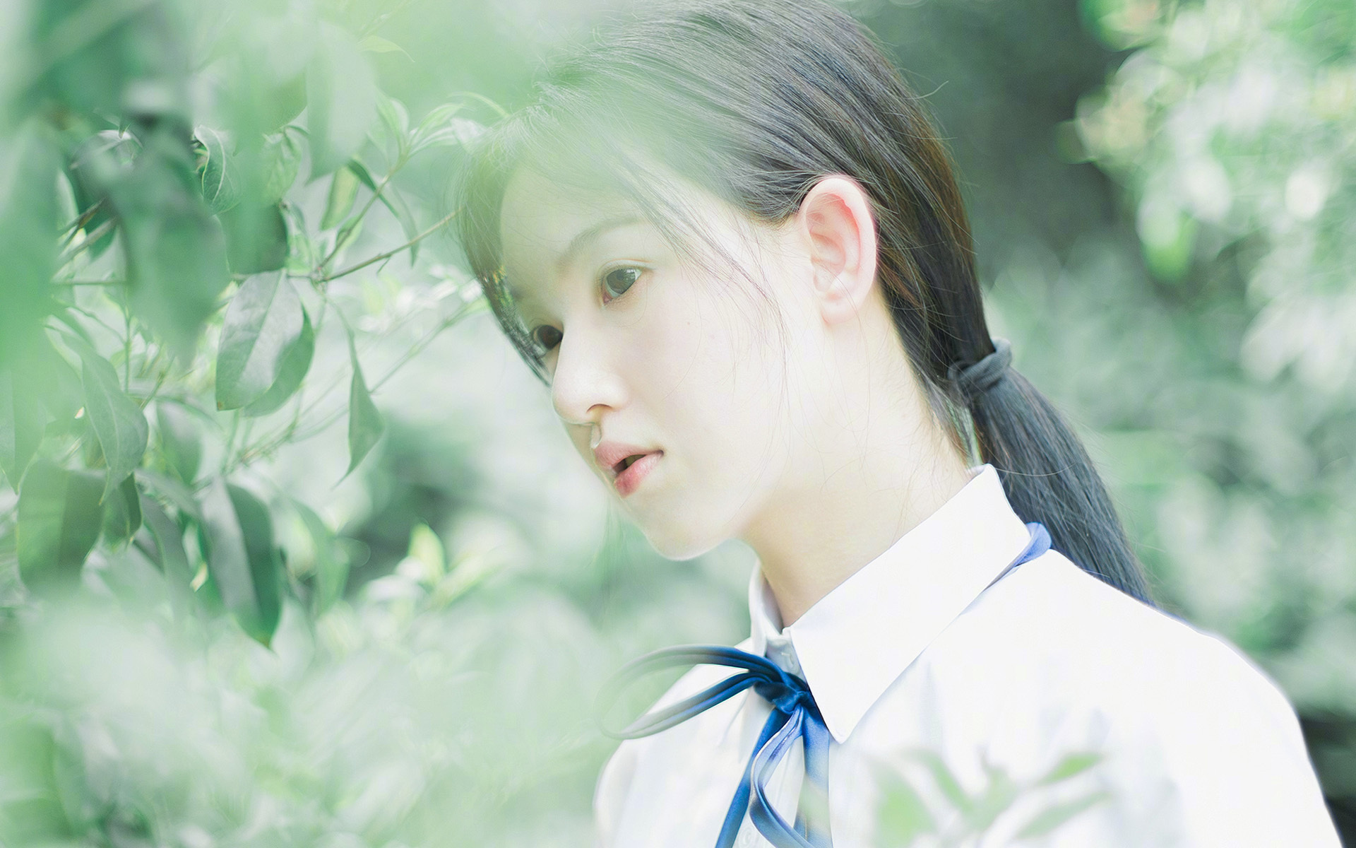 世界杯的全球影响力扩展，足球世界杯的影响力